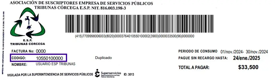 Referencia de factura mostrando la ubicación del código de suscriptor